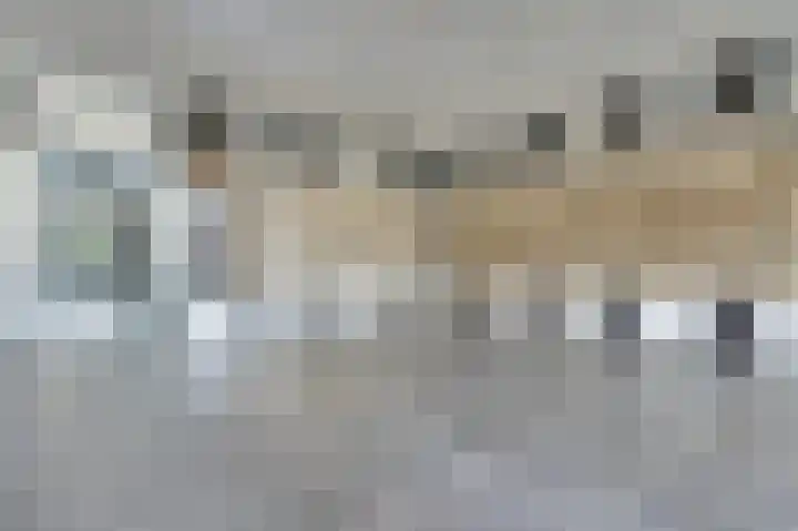 Hendrik Tollensstraat 346 Delft thumbnail 6