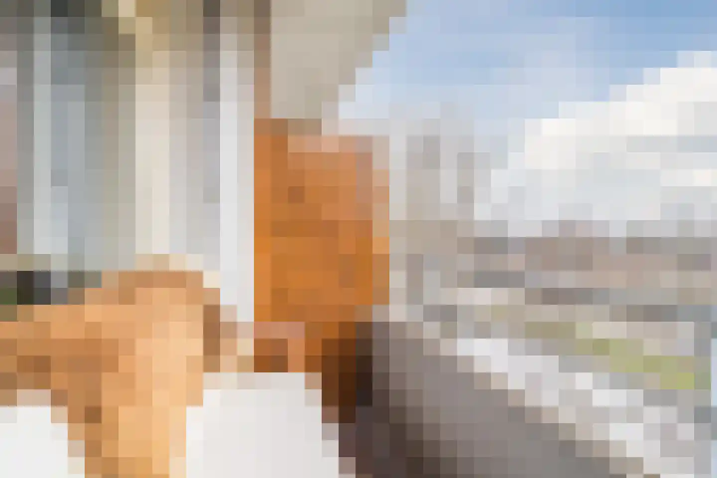 Hendrik Tollensstraat 64 Delft thumbnail 22