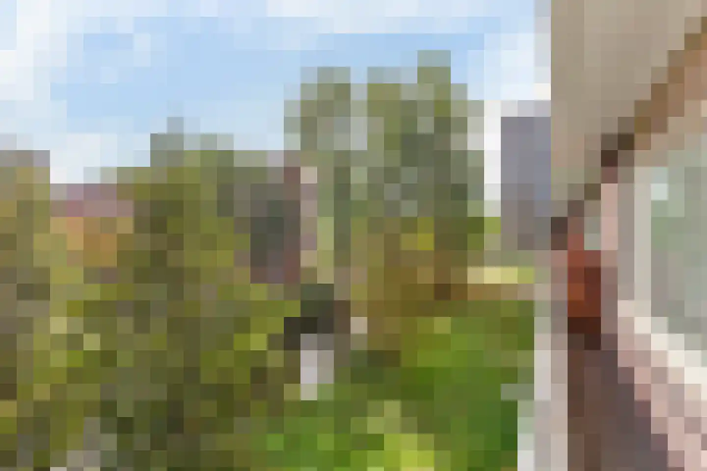 Hendrik Tollensstraat 68 Delft thumbnail 23