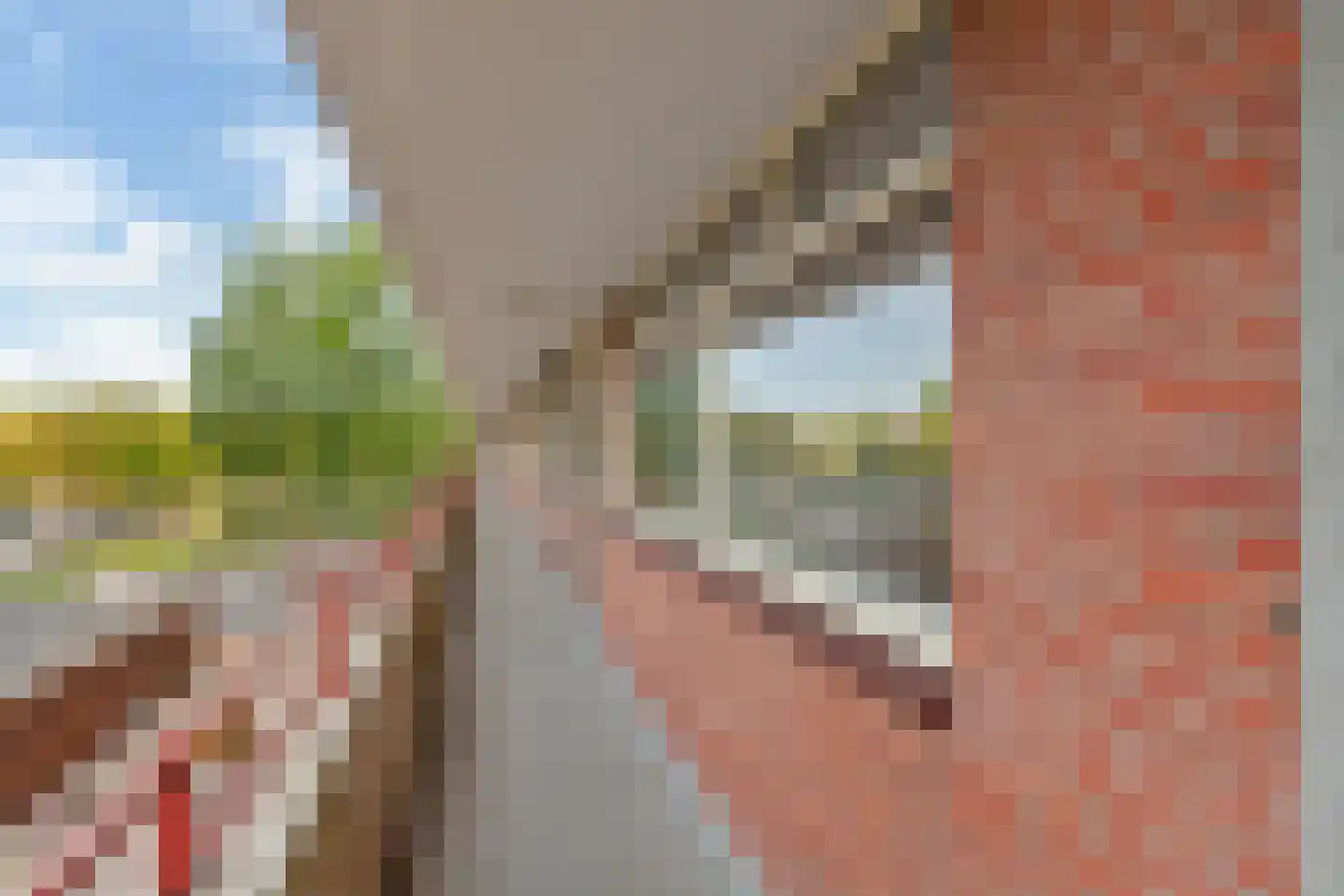 Hendrik Tollensstraat 68 Delft thumbnail 4