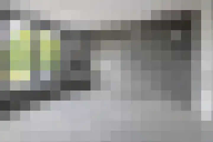 Hendrik Triplaan-Noord 3 Dordrecht thumbnail 23