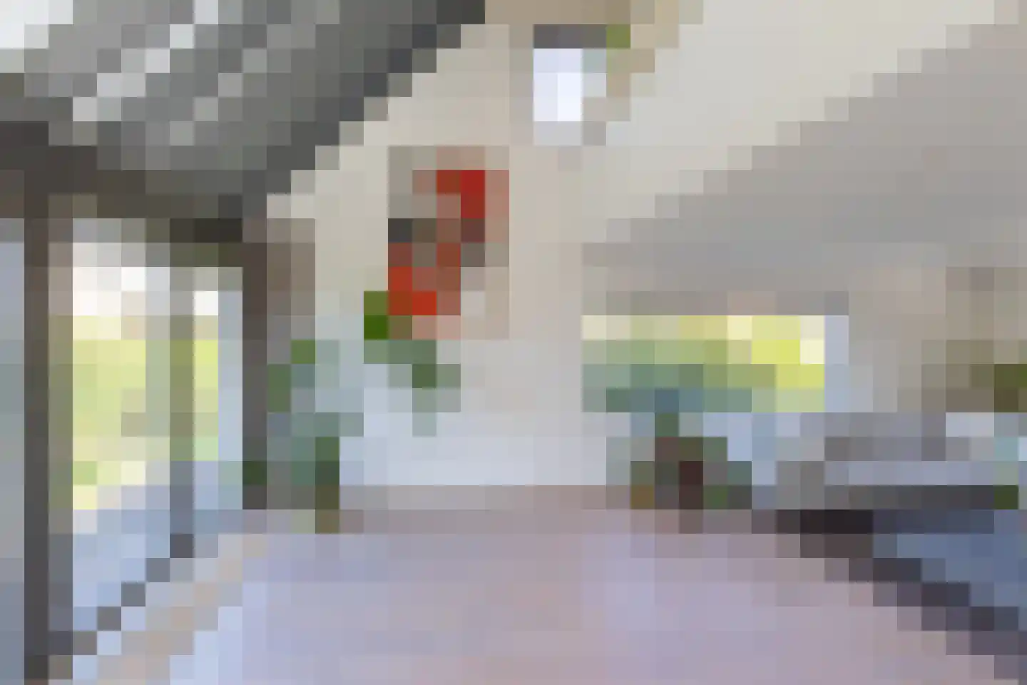 Hendrik Valkenburglaantje 8 Laren thumbnail 10