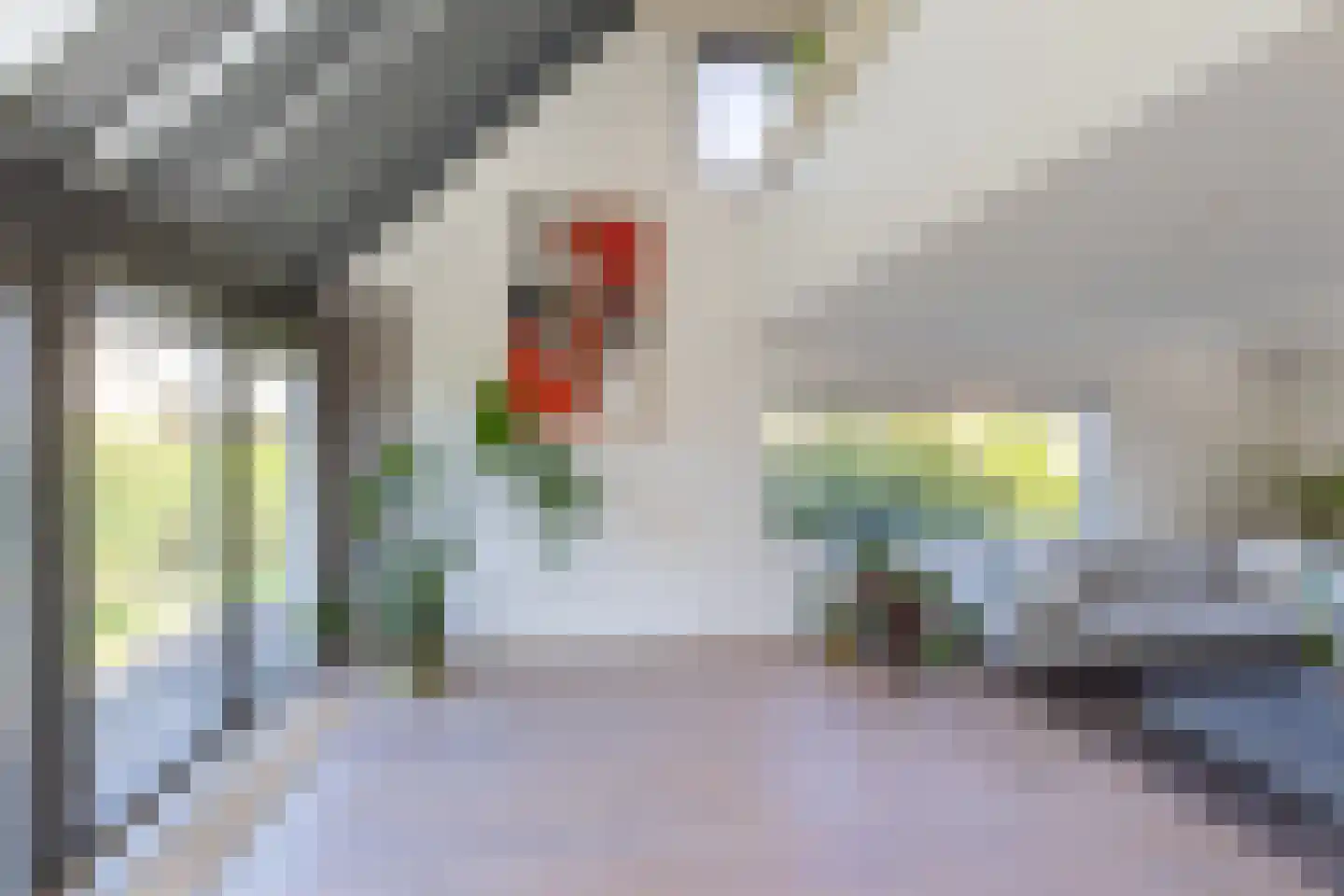 Hendrik Valkenburglaantje 8 Laren thumbnail 10