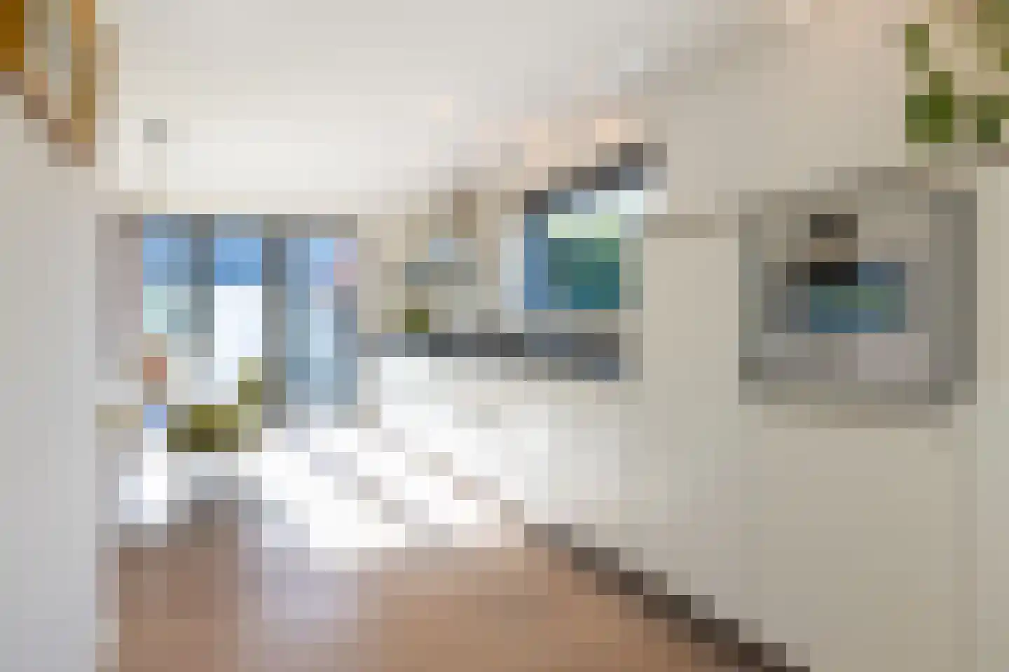 Hendrik Valkenburglaantje 8 Laren thumbnail 15