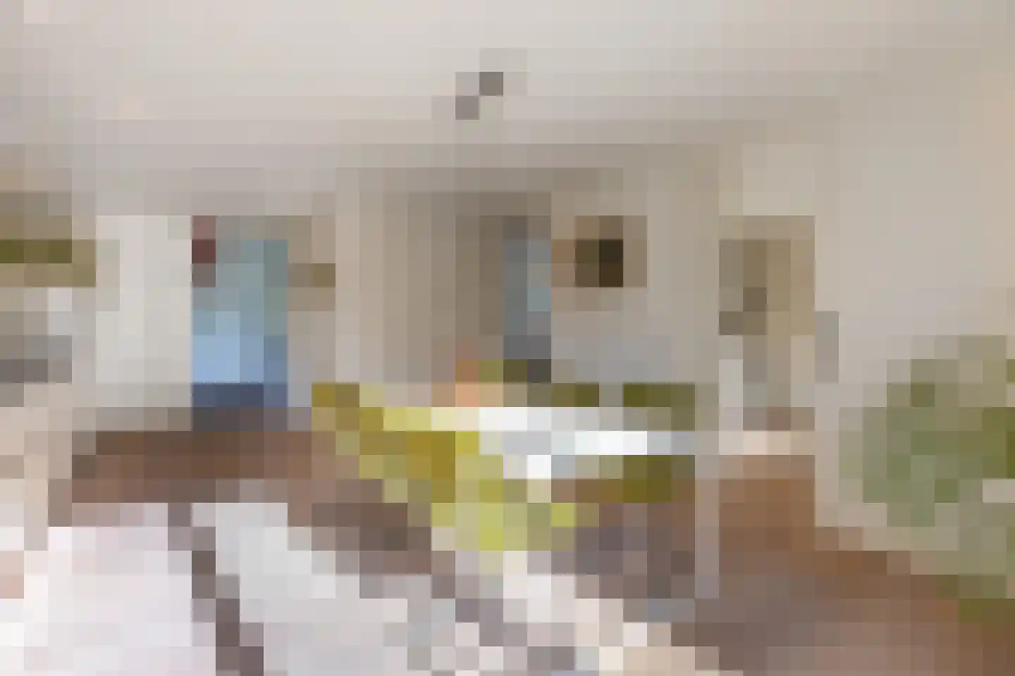 Hendrik Valkenburglaantje 8 Laren thumbnail 18