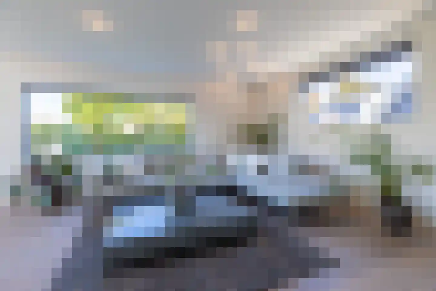 Hendrik Valkenburglaantje 8 Laren thumbnail 6