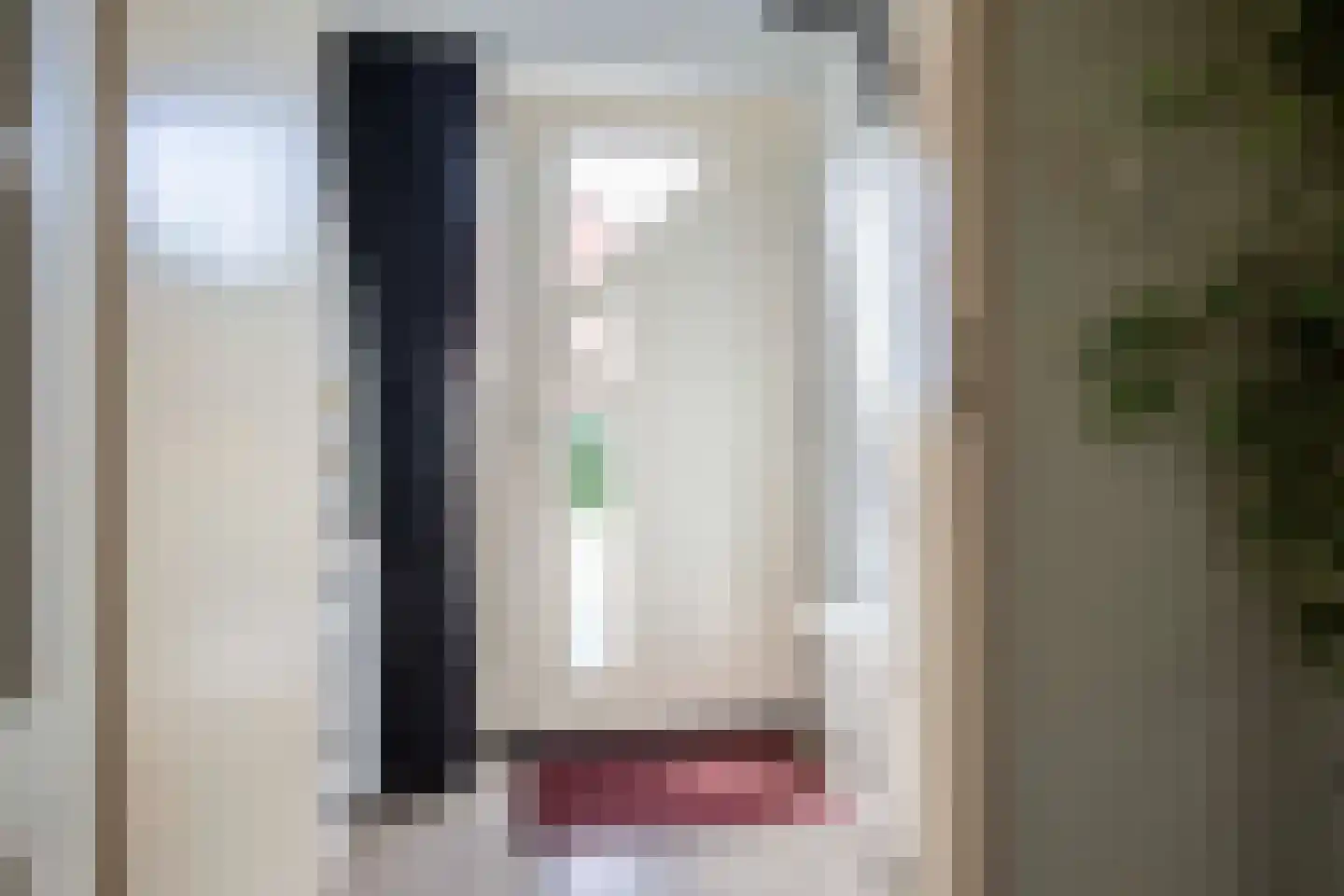 Hendrik van Beierenstraat 25 Vollenhove thumbnail 15