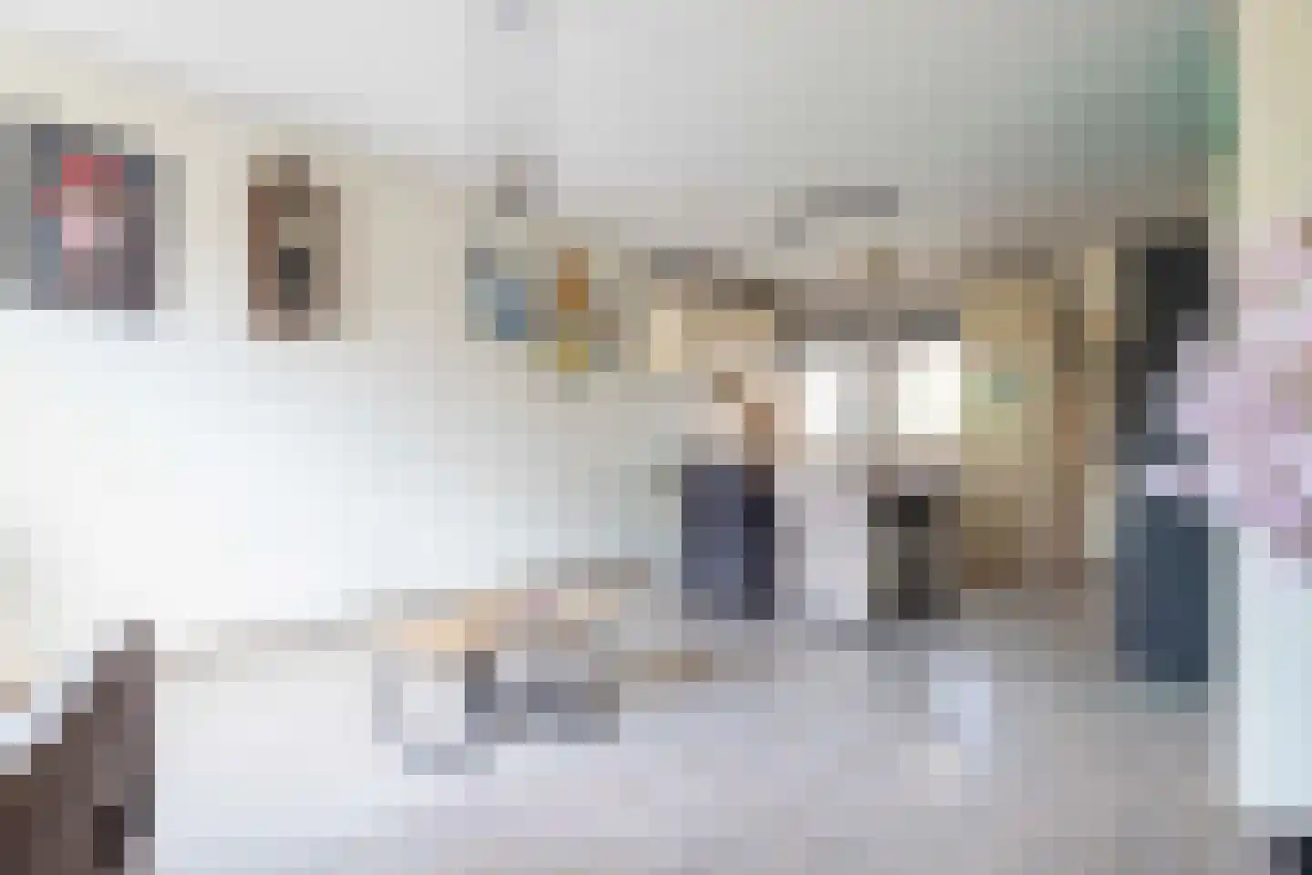 Hendrik van Beierenstraat 25 Vollenhove thumbnail 16