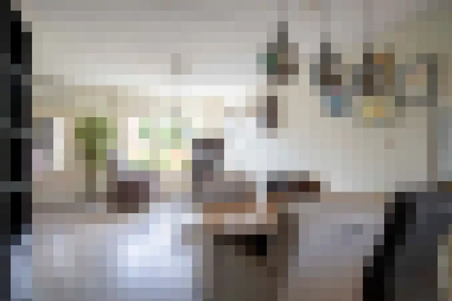 Hendrik van Beierenstraat 25 Vollenhove thumbnail 18