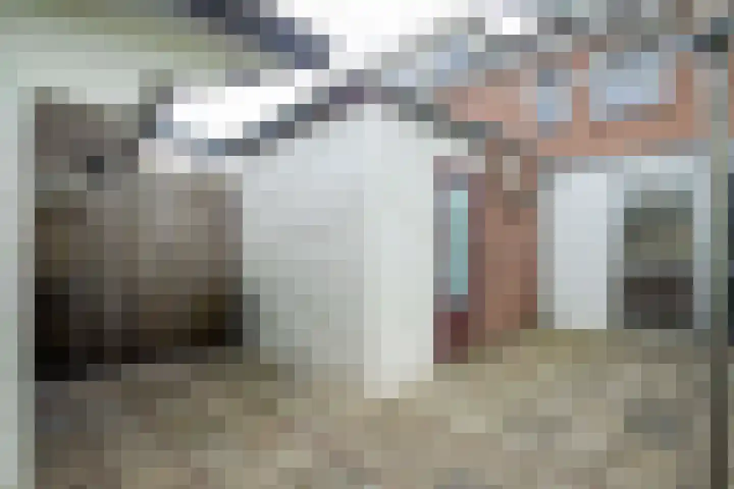 Hendrik van Beierenstraat 25 Vollenhove thumbnail 27