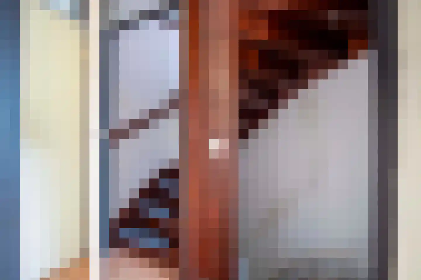 Hendrik van Beierenstraat 25 Vollenhove thumbnail 30