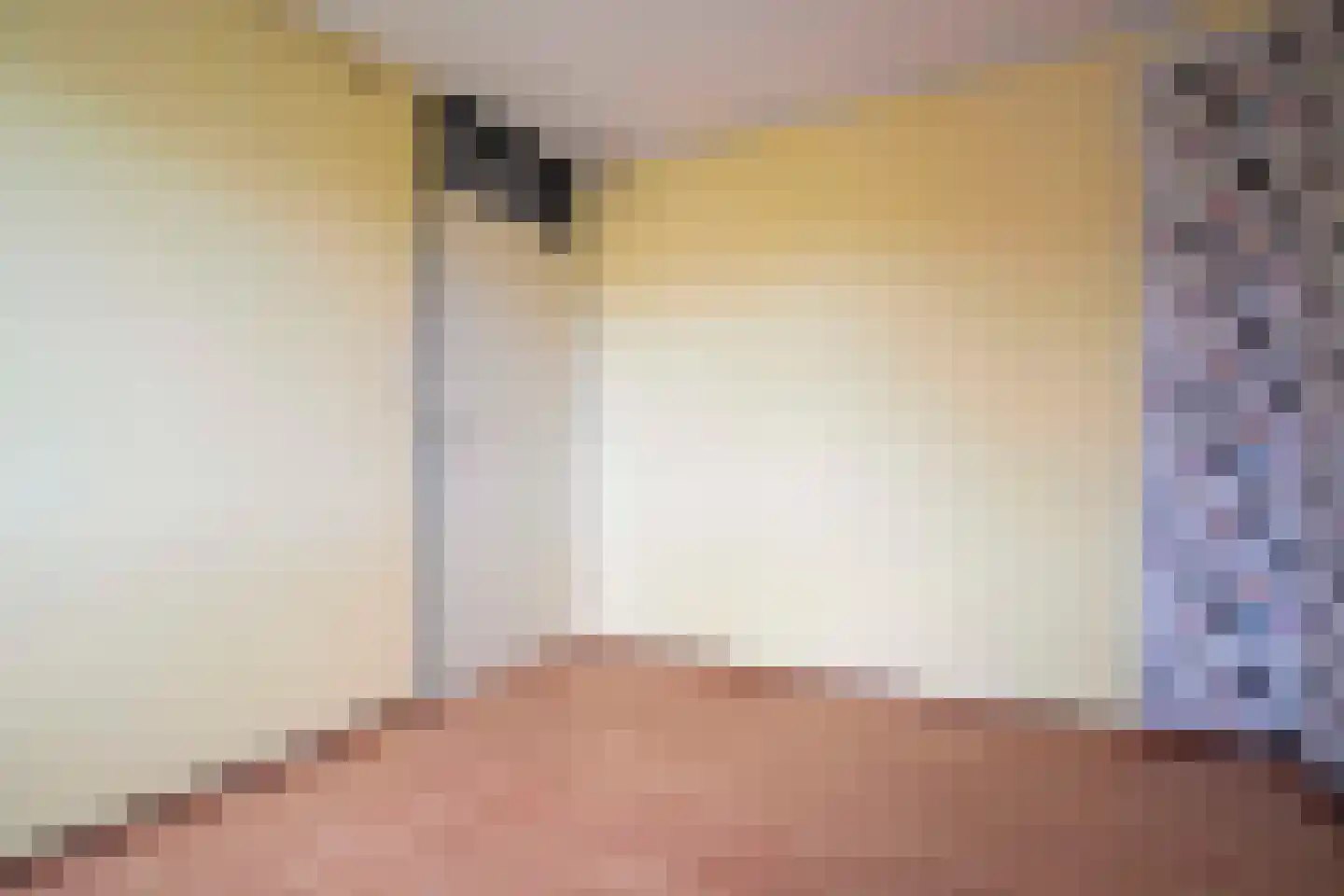 Hendrik van Beierenstraat 25 Vollenhove thumbnail 32