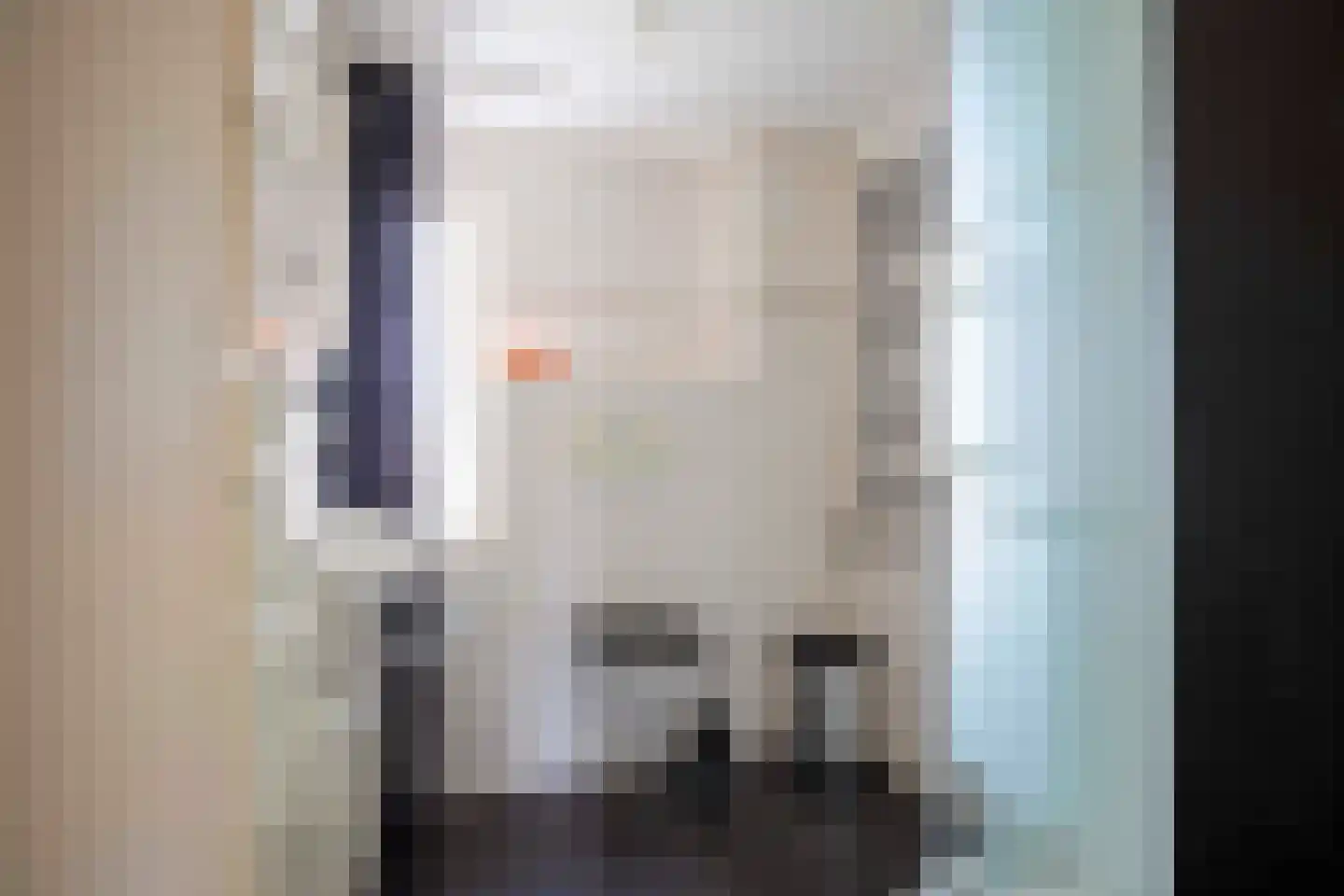 Hendrik van Beierenstraat 25 Vollenhove thumbnail 37