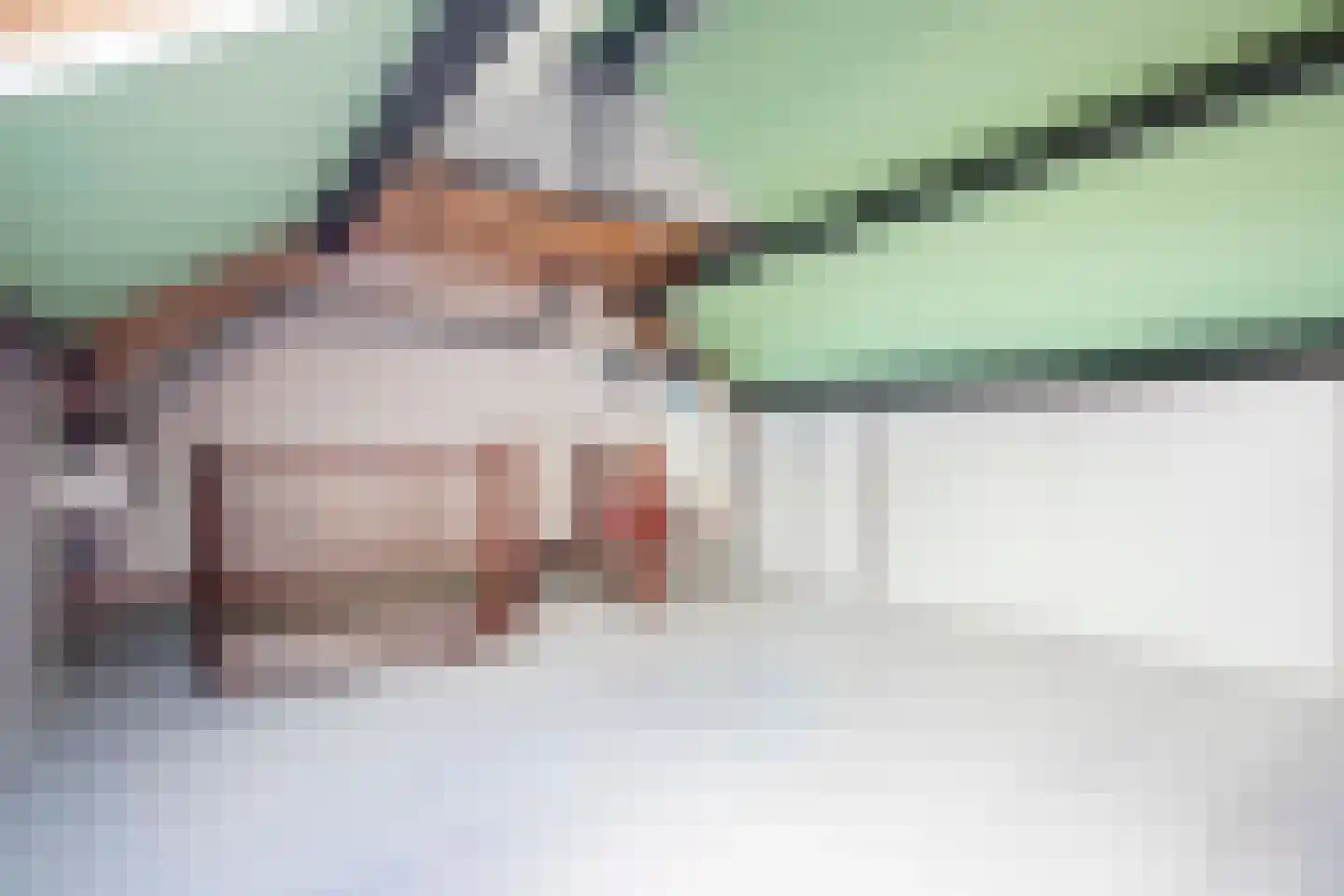 Hendrik van Beierenstraat 25 Vollenhove thumbnail 39