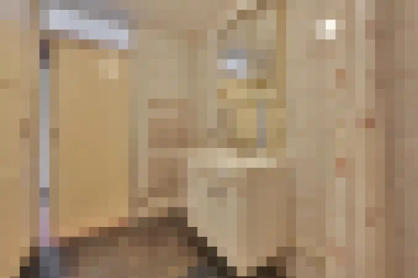 Hendrik van Boeijenlaan 44 Voorburg thumbnail 30