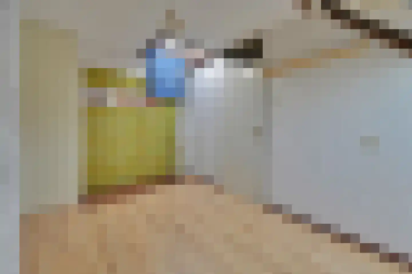 Hendrik van Boeijenlaan 44 Voorburg thumbnail 35