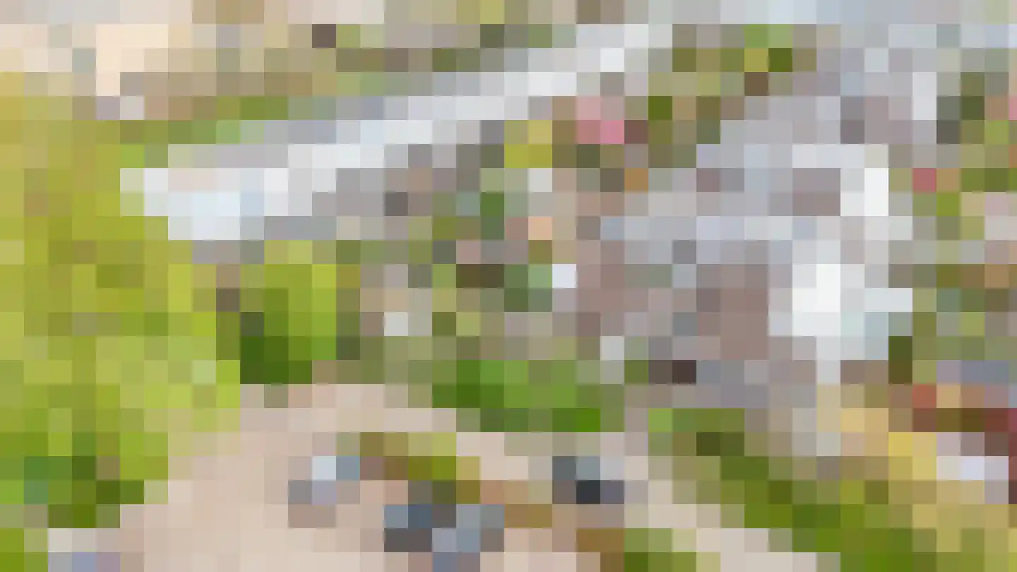 Hendrik van Boeijenlaan 44 Voorburg thumbnail 39