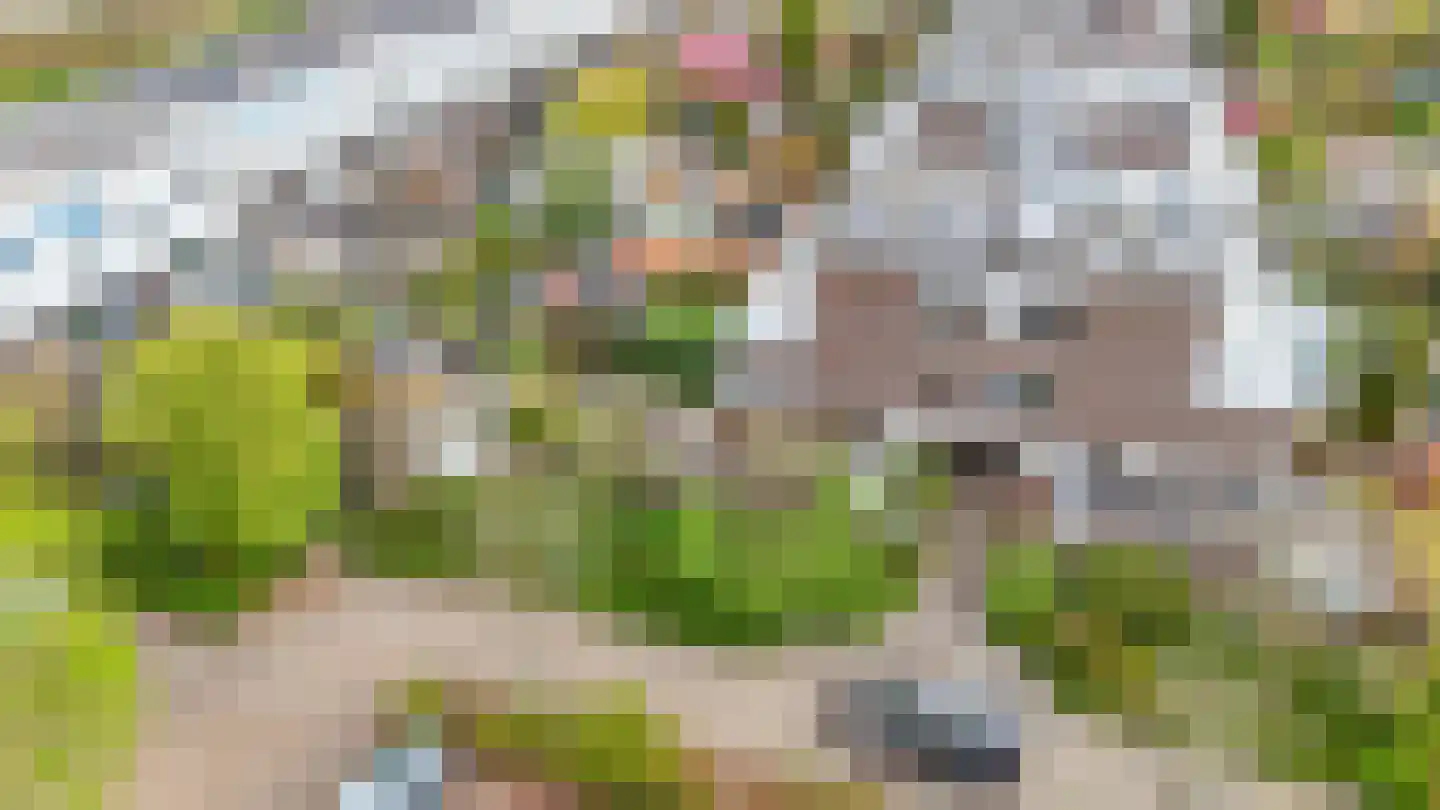 Hendrik van Boeijenlaan 44 Voorburg thumbnail 40