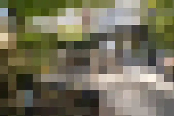 Hendrik van Boeijenlaan 58 Voorburg thumbnail 12