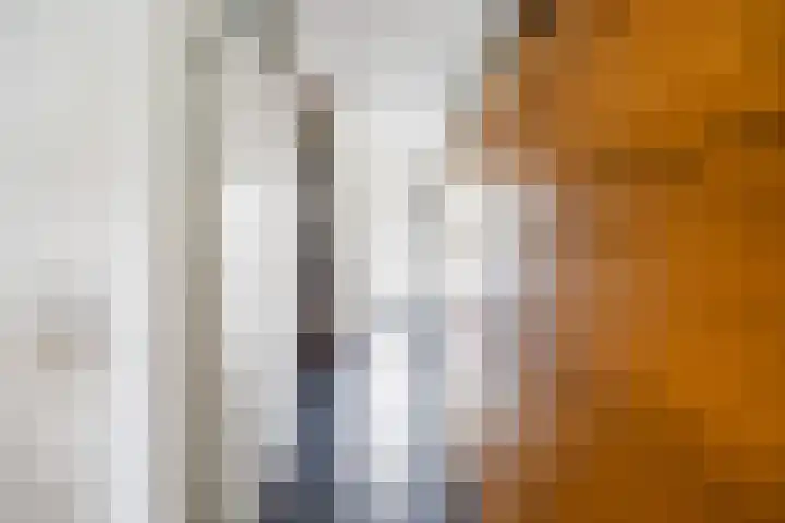 Hendrik van Boeijenlaan 58 Voorburg thumbnail 14