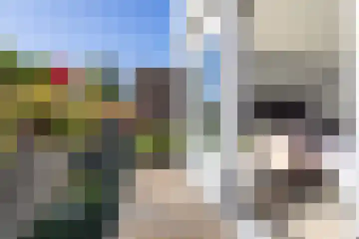 Hendrik van Boeijenlaan 58 Voorburg thumbnail 19