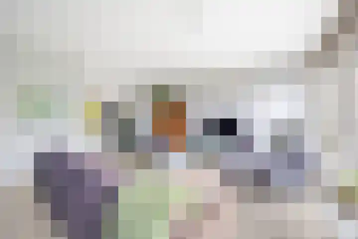 Hendrik van Boeijenlaan 58 Voorburg thumbnail 21