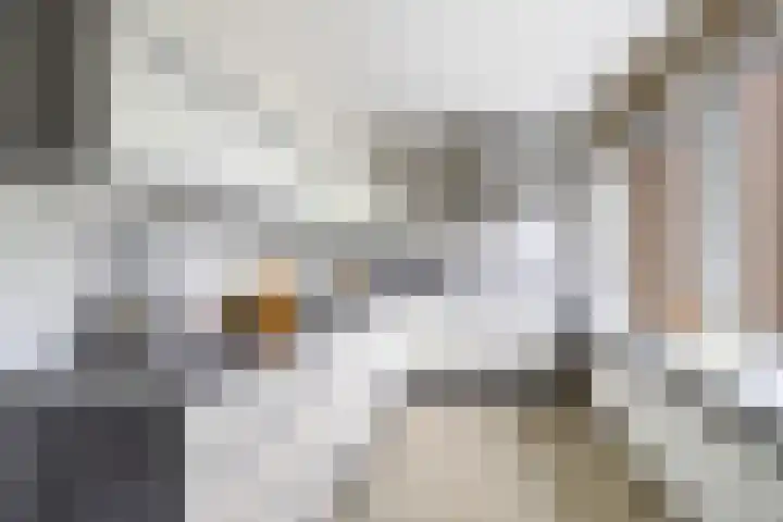 Hendrik van Boeijenlaan 58 Voorburg thumbnail 24