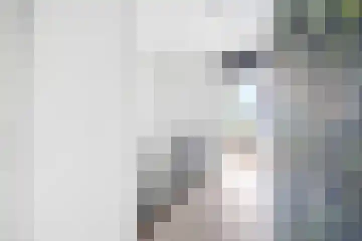 Hendrik van Boeijenlaan 58 Voorburg thumbnail 28