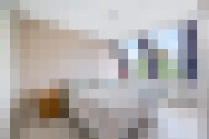 Hendrik van Boeijenlaan 58 Voorburg thumbnail 32