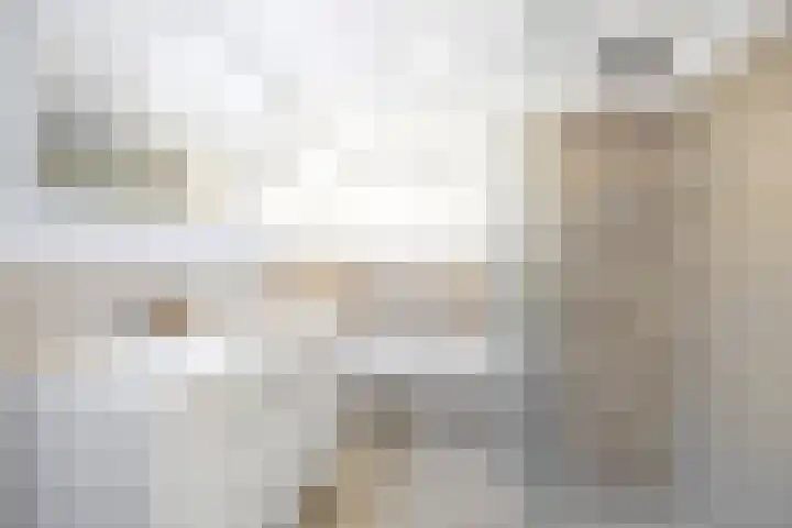 Hendrik van Boeijenlaan 58 Voorburg thumbnail 36