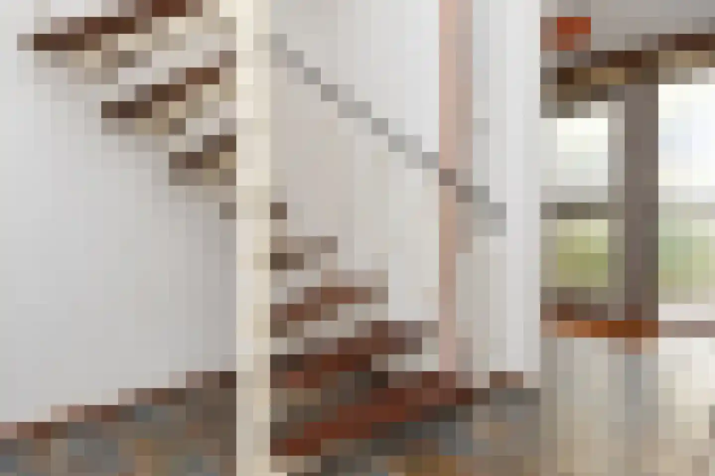 Hendrik van Boeijenlaan 78 Voorburg thumbnail 26