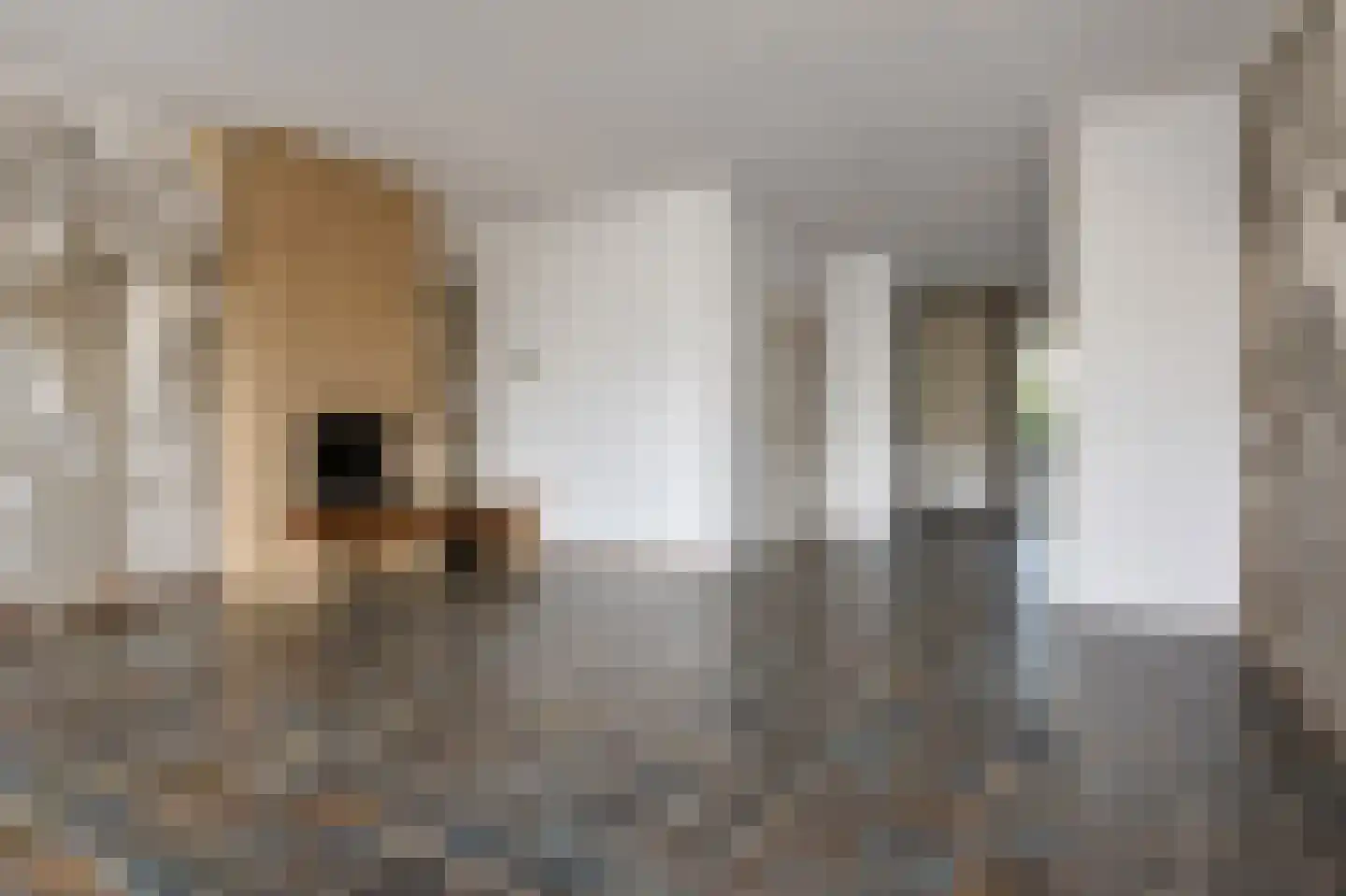 Hendrik van Boeijenlaan 78 Voorburg thumbnail 5