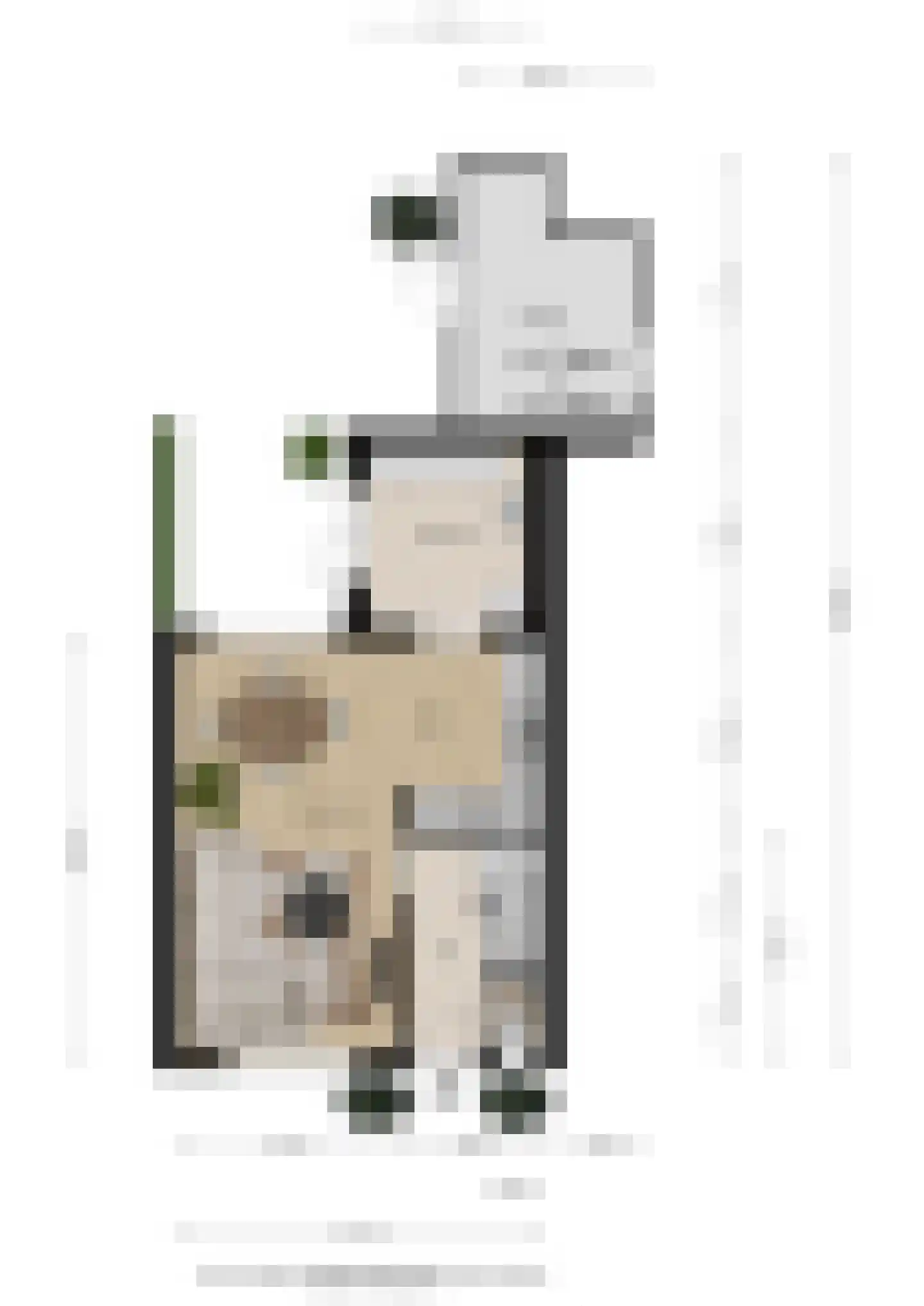 Hendrik van Bramerenstr 12 Vorden thumbnail 28