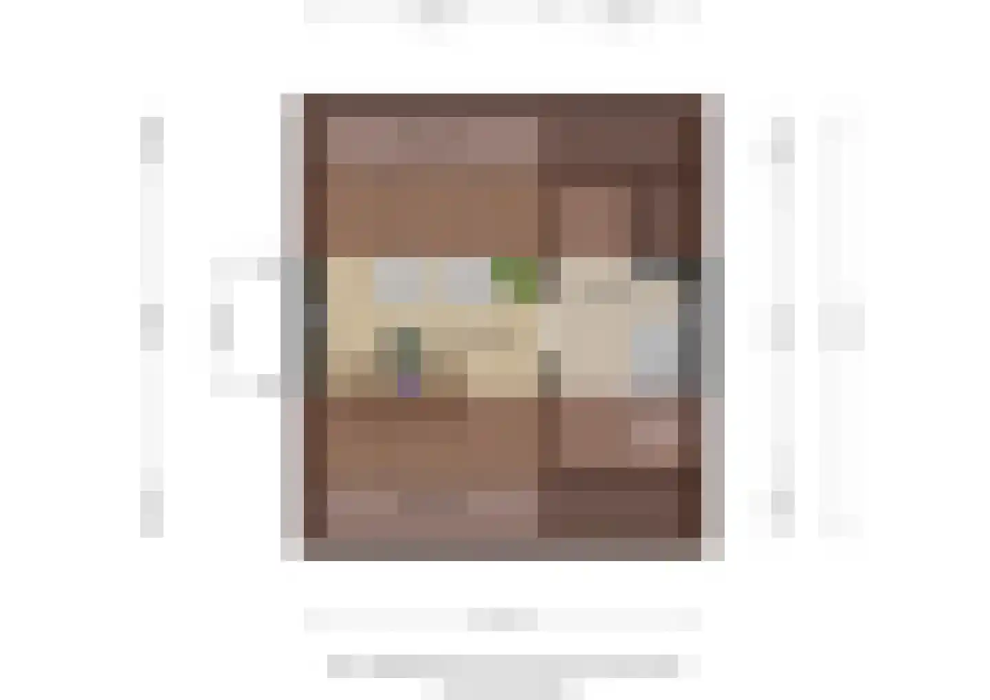 Hendrik van Bramerenstr 12 Vorden thumbnail 30