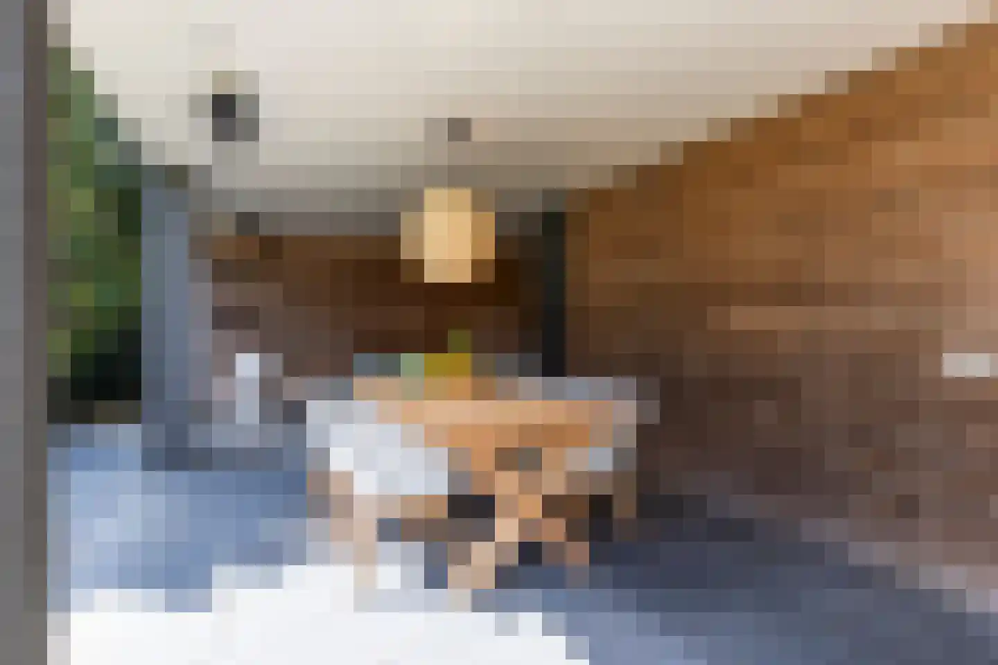 Hendrik van Cuyklaan 10 Waalre thumbnail 16