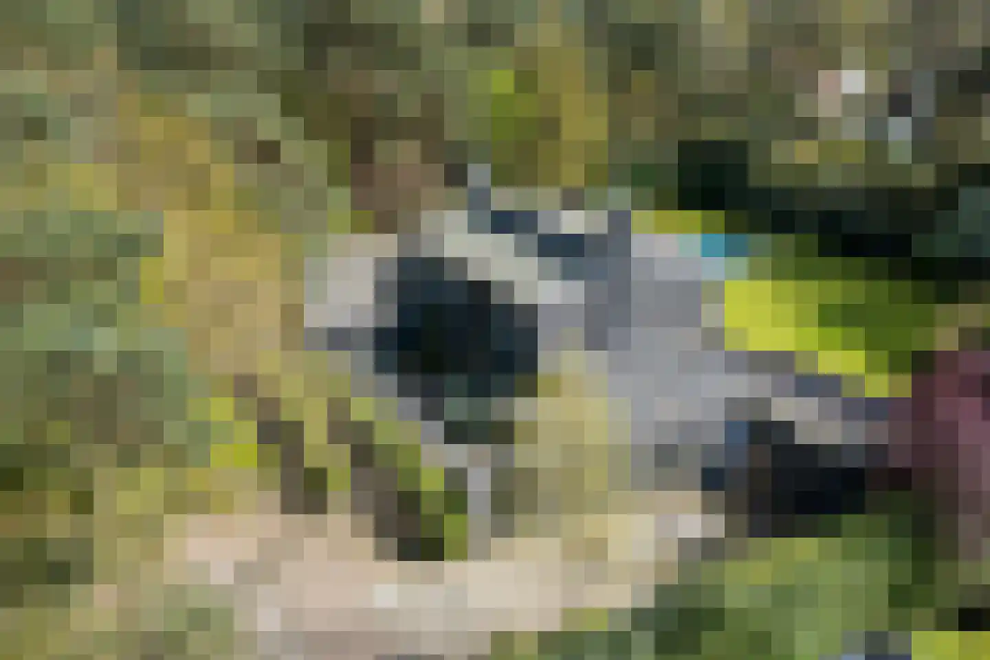 Hendrik van Cuyklaan 10 Waalre thumbnail 23
