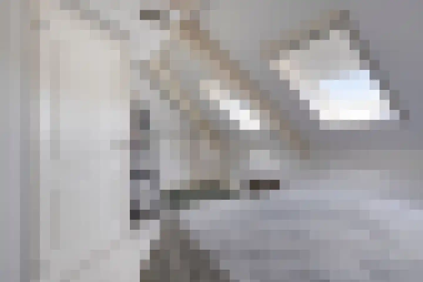 Hendrik van de Craatsstraat 21 Terschuur thumbnail 34
