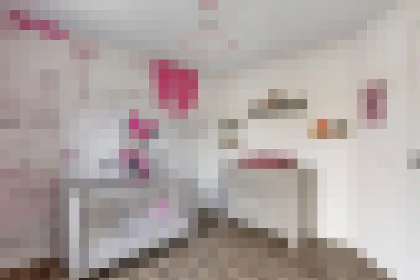 Hendrik van de Craatsstraat 3 Terschuur thumbnail 24