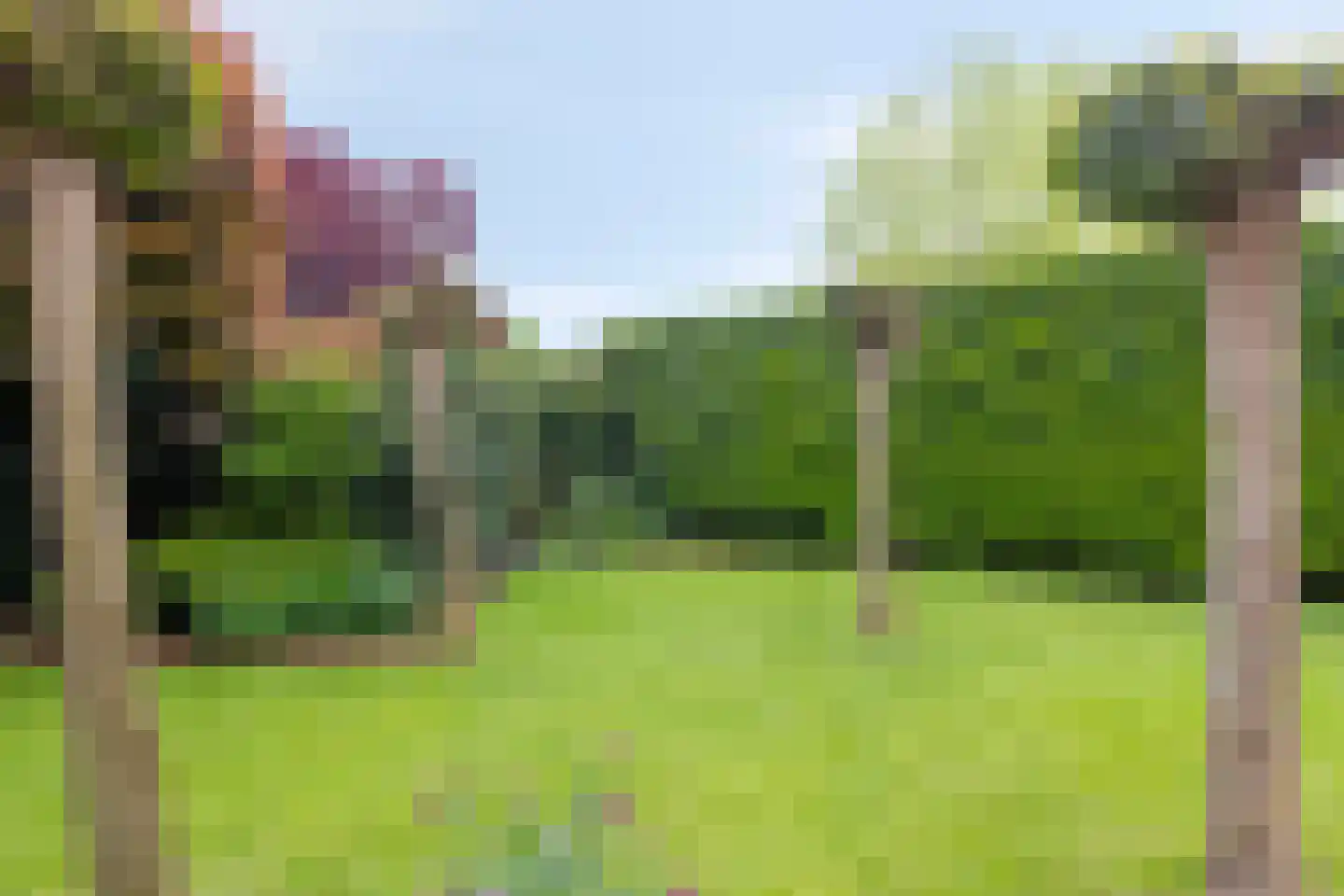 Hendrik van de Craatsstraat 3 Terschuur thumbnail 37
