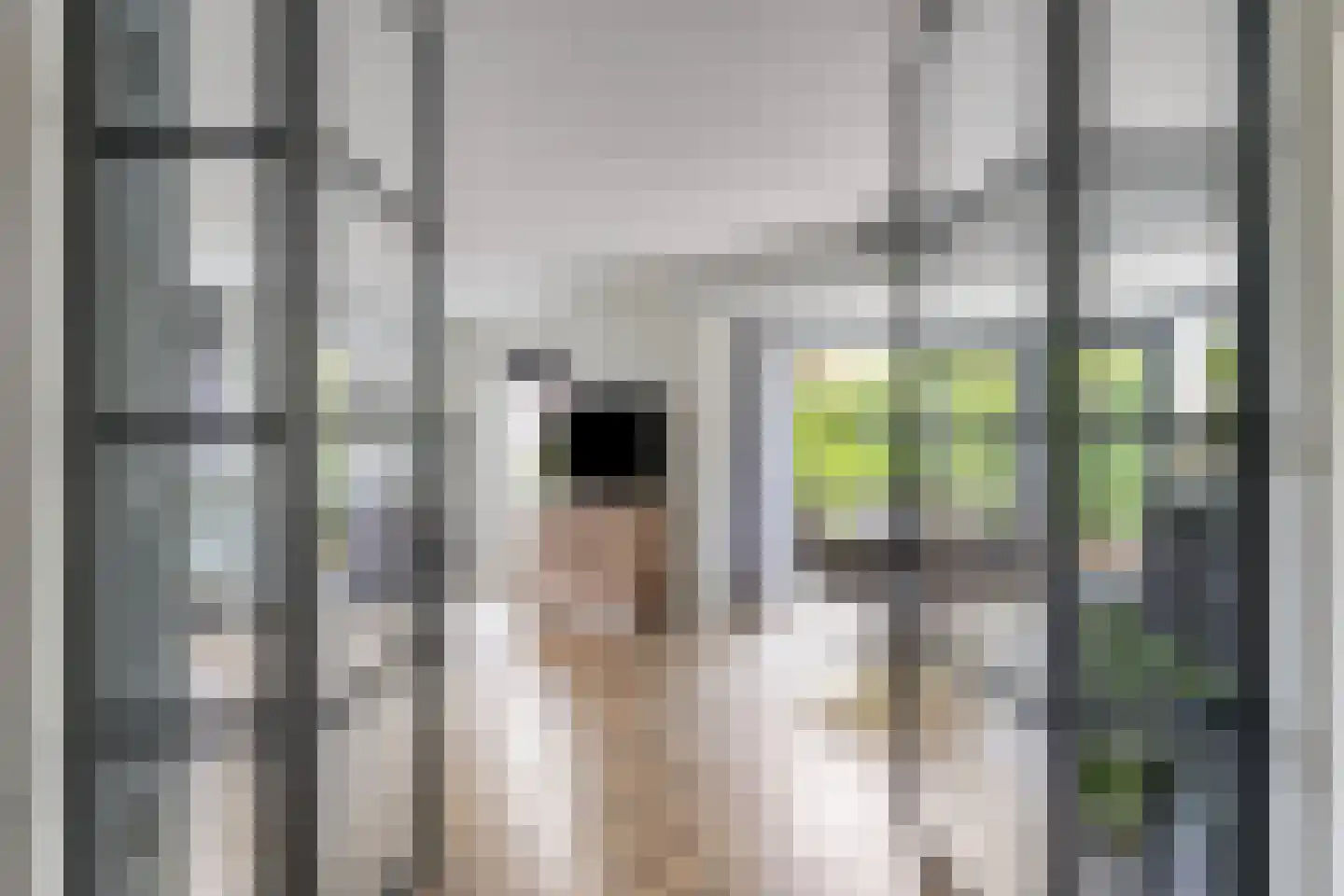 Hendrik van de Craatsstraat 3 Terschuur thumbnail 4