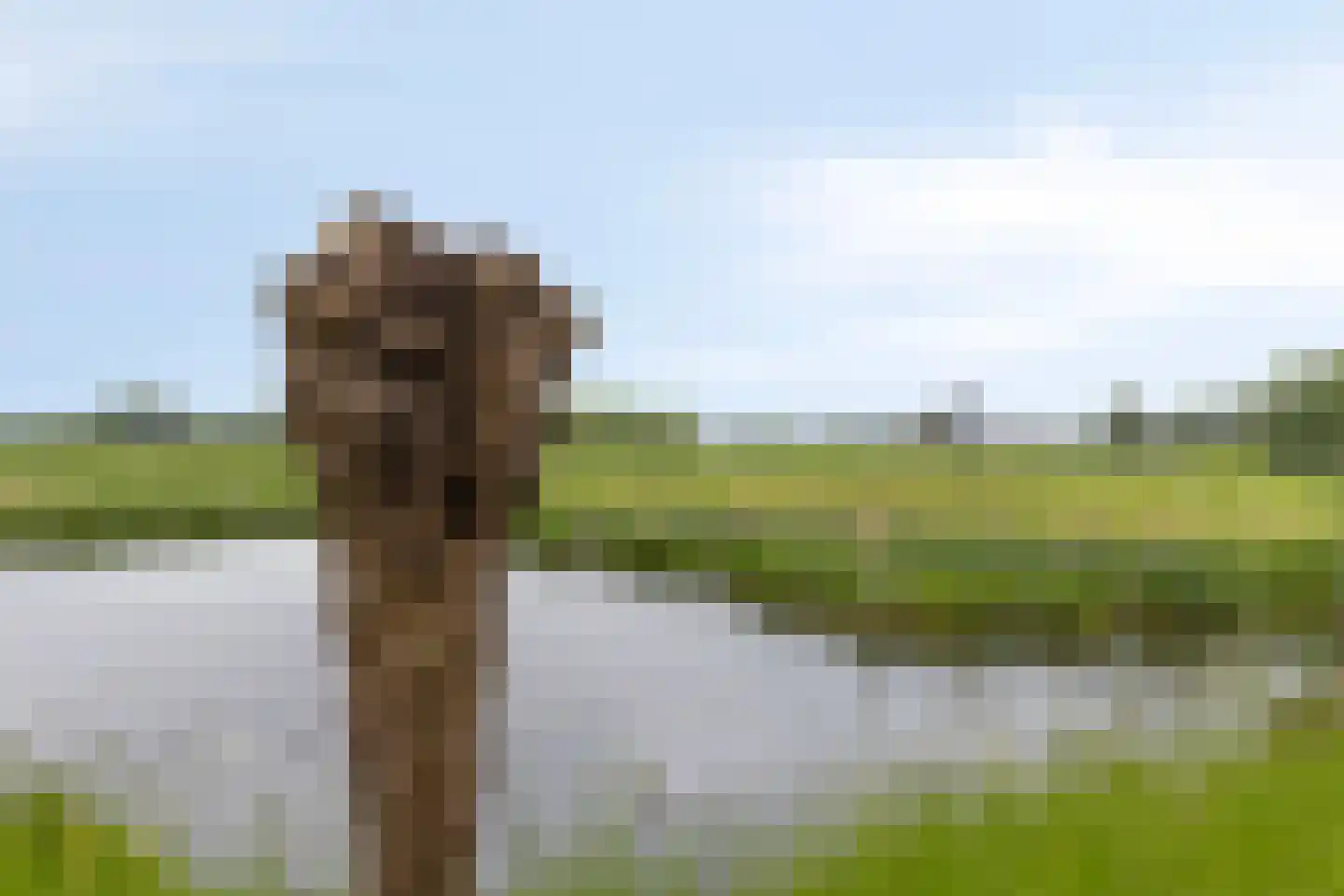 Hendrik van de Craatsstraat 3 Terschuur thumbnail 51