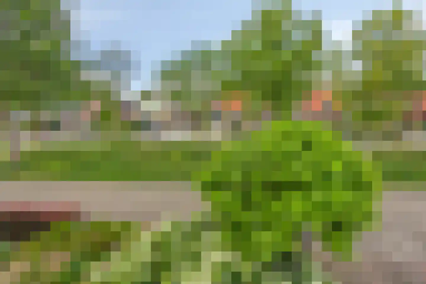 Hendrik van de Craatsstraat 37 Terschuur thumbnail 26