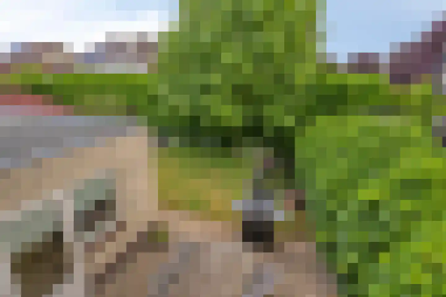 Hendrik van de Craatsstraat 37 Terschuur thumbnail 35