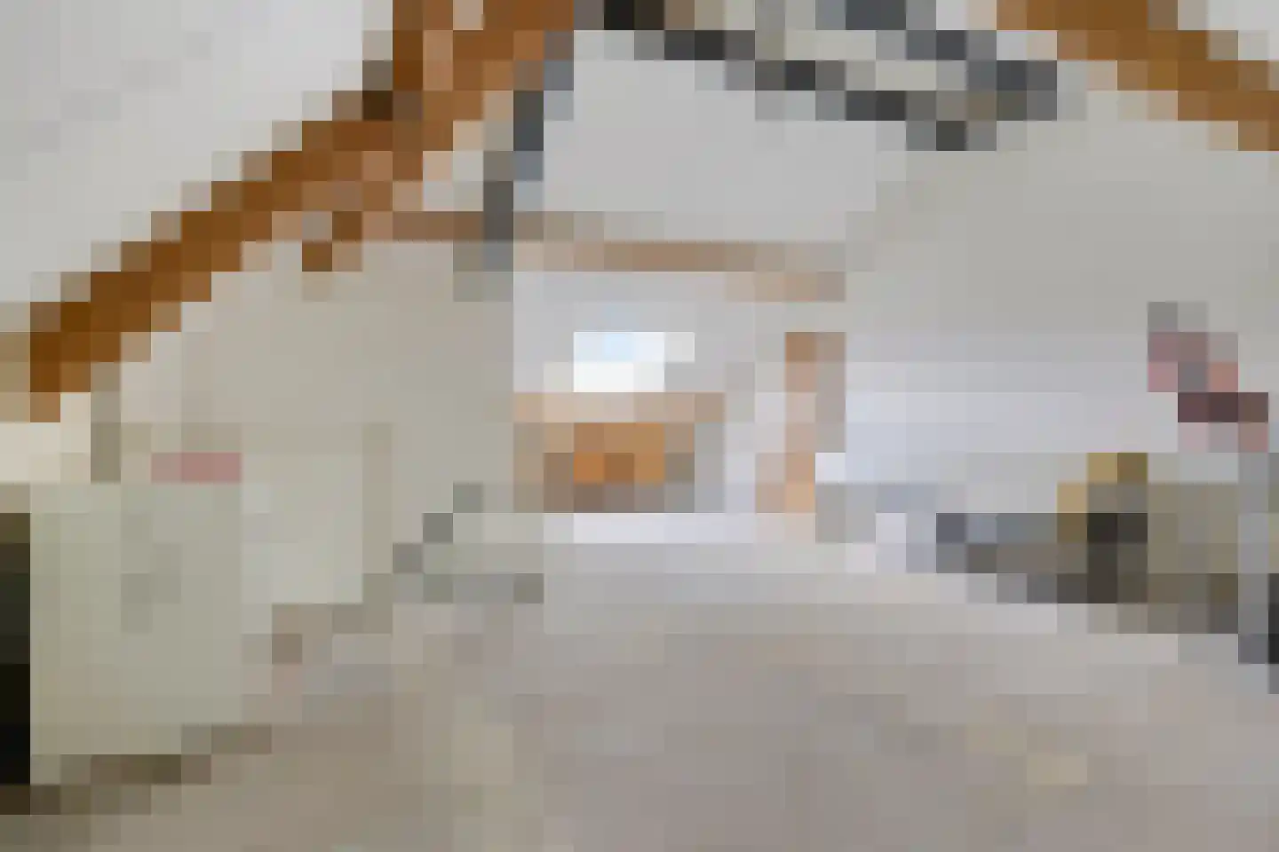 Hendrik van de Craatsstraat 37 Terschuur thumbnail 38