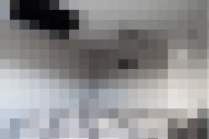 Hendrik van de Craatsstraat 46 Terschuur thumbnail 24