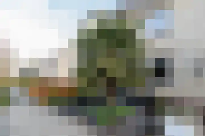 Hendrik van de Craatsstraat 46 Terschuur thumbnail 6