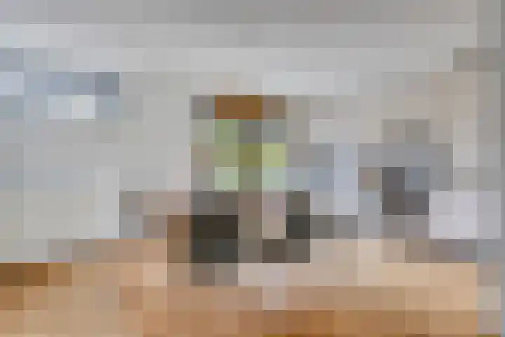 Hendrik van der Graaflaan 13 Bloemendaal thumbnail 12