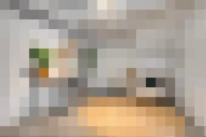 Hendrik van der Graaflaan 13 Bloemendaal thumbnail 27