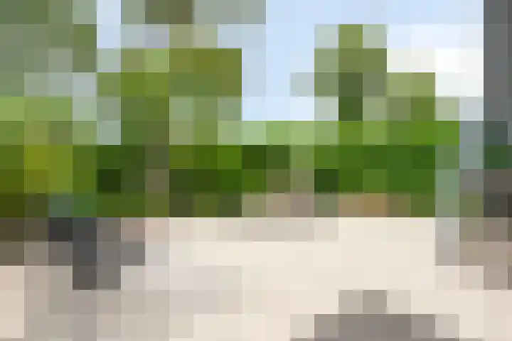 Hendrik van der Graaflaan 13 Bloemendaal thumbnail 29