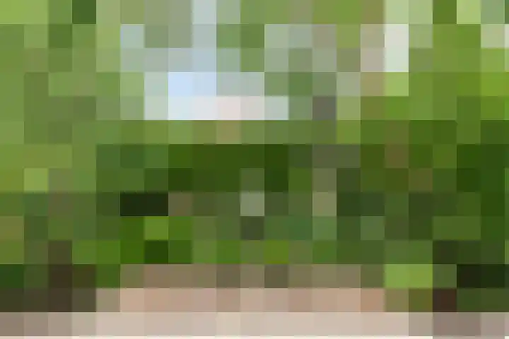 Hendrik van der Graaflaan 13 Bloemendaal thumbnail 30